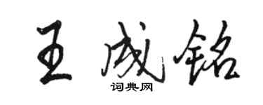 骆恒光王成铭行书个性签名怎么写