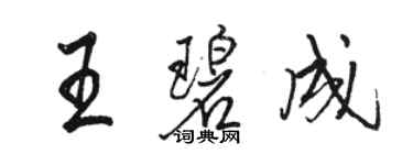 骆恒光王碧成行书个性签名怎么写