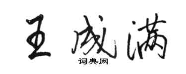骆恒光王成满行书个性签名怎么写