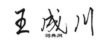 骆恒光王成川行书个性签名怎么写