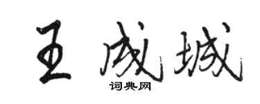 骆恒光王成城行书个性签名怎么写