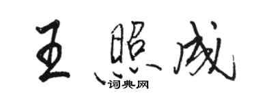 骆恒光王照成行书个性签名怎么写