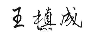 骆恒光王植成行书个性签名怎么写