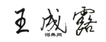 骆恒光王成露行书个性签名怎么写