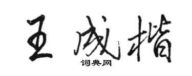 骆恒光王成楷行书个性签名怎么写