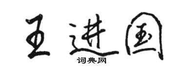 骆恒光王进国行书个性签名怎么写