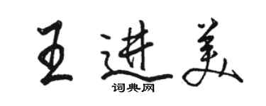骆恒光王进美行书个性签名怎么写
