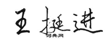 骆恒光王挺进行书个性签名怎么写