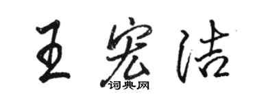 骆恒光王宏洁行书个性签名怎么写