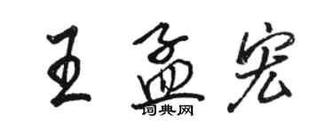 骆恒光王孟宏行书个性签名怎么写