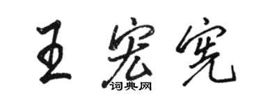 骆恒光王宏宪行书个性签名怎么写
