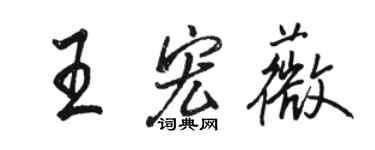 骆恒光王宏薇行书个性签名怎么写
