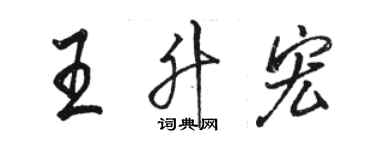 骆恒光王升宏行书个性签名怎么写