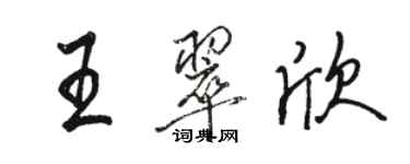骆恒光王翠欣行书个性签名怎么写