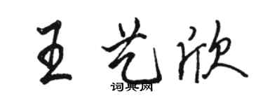 骆恒光王艺欣行书个性签名怎么写