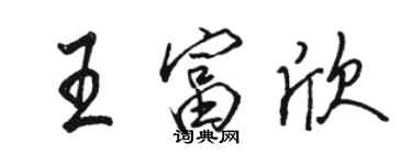骆恒光王富欣行书个性签名怎么写