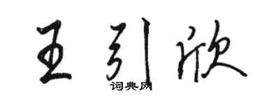 骆恒光王引欣行书个性签名怎么写