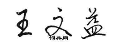 骆恒光王文益行书个性签名怎么写