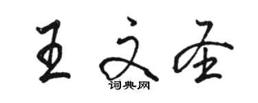 骆恒光王文圣行书个性签名怎么写