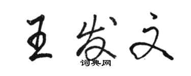 骆恒光王发文行书个性签名怎么写