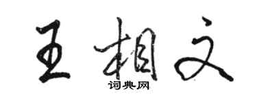 骆恒光王相文行书个性签名怎么写