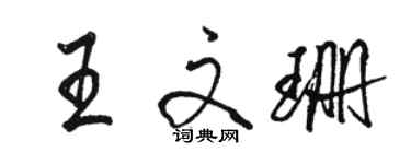 骆恒光王文珊行书个性签名怎么写