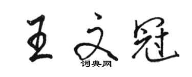 骆恒光王文冠行书个性签名怎么写