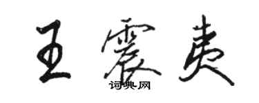 骆恒光王震夷行书个性签名怎么写