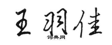 骆恒光王羽佳行书个性签名怎么写