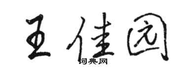 骆恒光王佳园行书个性签名怎么写