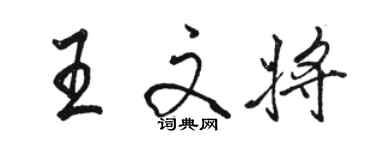 骆恒光王文将行书个性签名怎么写