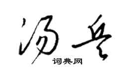 梁锦英汤兵草书个性签名怎么写