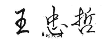 骆恒光王忠哲行书个性签名怎么写