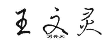 骆恒光王文灵行书个性签名怎么写