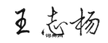 骆恒光王志杨行书个性签名怎么写