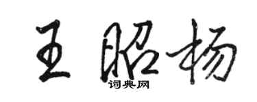 骆恒光王昭杨行书个性签名怎么写