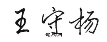 骆恒光王守杨行书个性签名怎么写