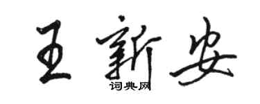 骆恒光王新安行书个性签名怎么写