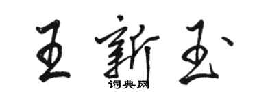 骆恒光王新玉行书个性签名怎么写