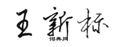 骆恒光王新标行书个性签名怎么写