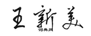 骆恒光王新美行书个性签名怎么写