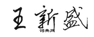 骆恒光王新盛行书个性签名怎么写