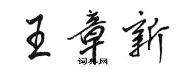 骆恒光王章新行书个性签名怎么写