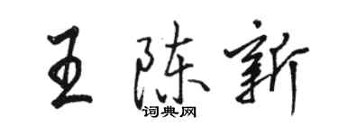 骆恒光王陈新行书个性签名怎么写