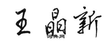 骆恒光王晶新行书个性签名怎么写