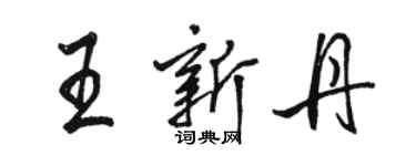 骆恒光王新丹行书个性签名怎么写