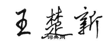 骆恒光王楚新行书个性签名怎么写