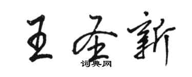 骆恒光王圣新行书个性签名怎么写