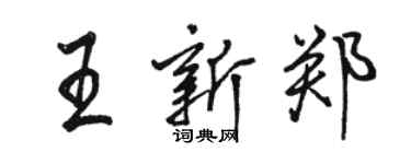骆恒光王新郑行书个性签名怎么写
