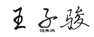 骆恒光王子骏行书个性签名怎么写